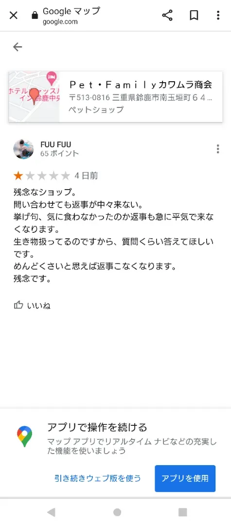 ブリーダー 問い合わせ 例文 猫：【決定版】完璧メールで成功する方法